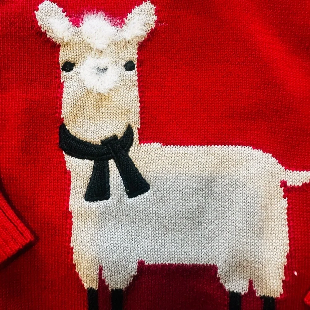 First Impressions Bold Red Sweater and Shirt Set